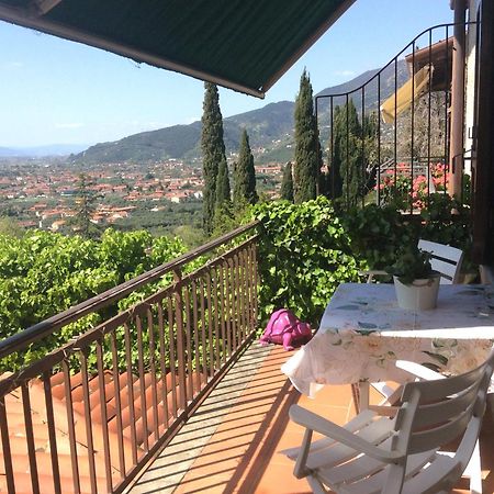 Belvedere 10 Pietrasanta Εξωτερικό φωτογραφία