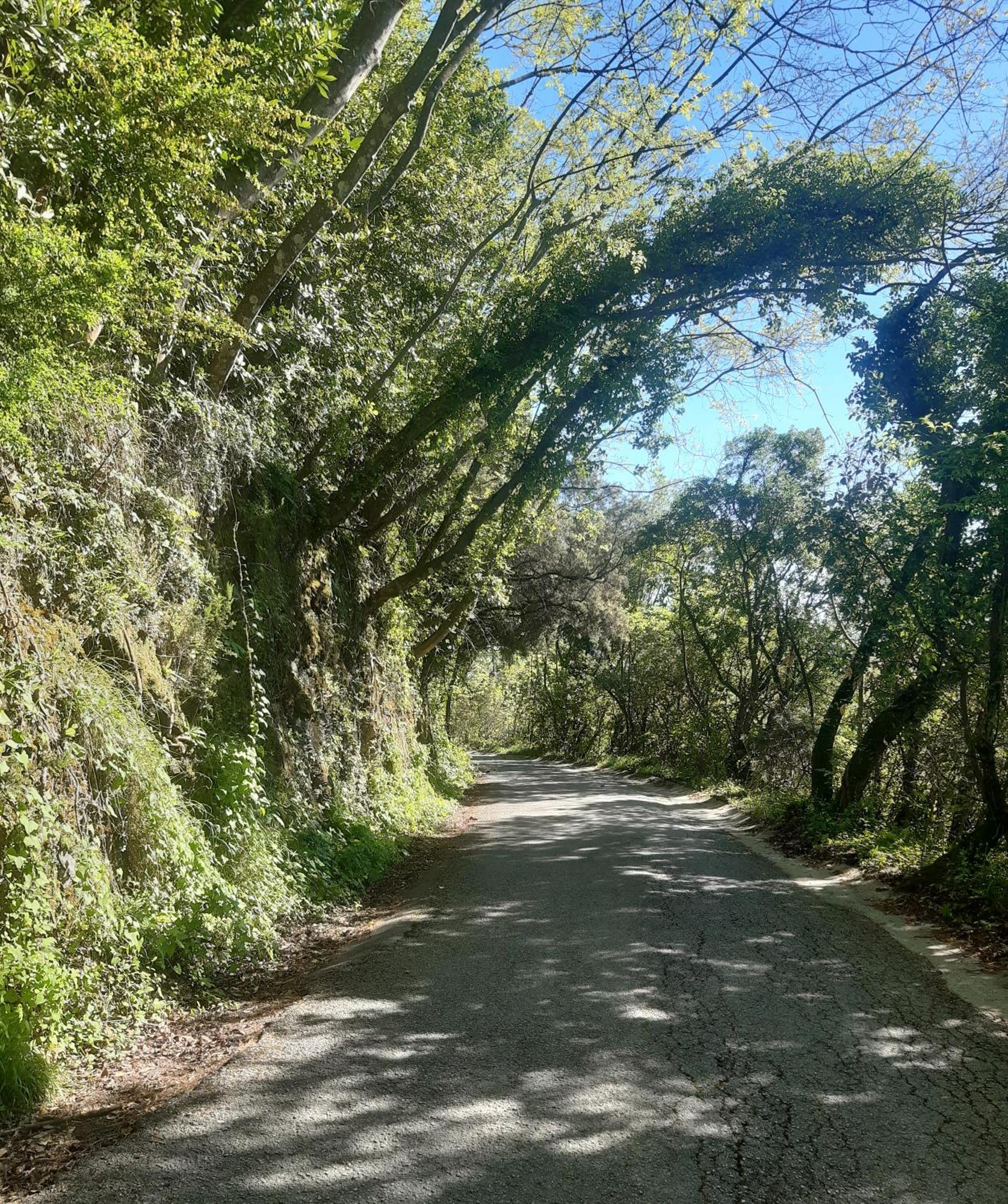 Belvedere 10 Pietrasanta Εξωτερικό φωτογραφία