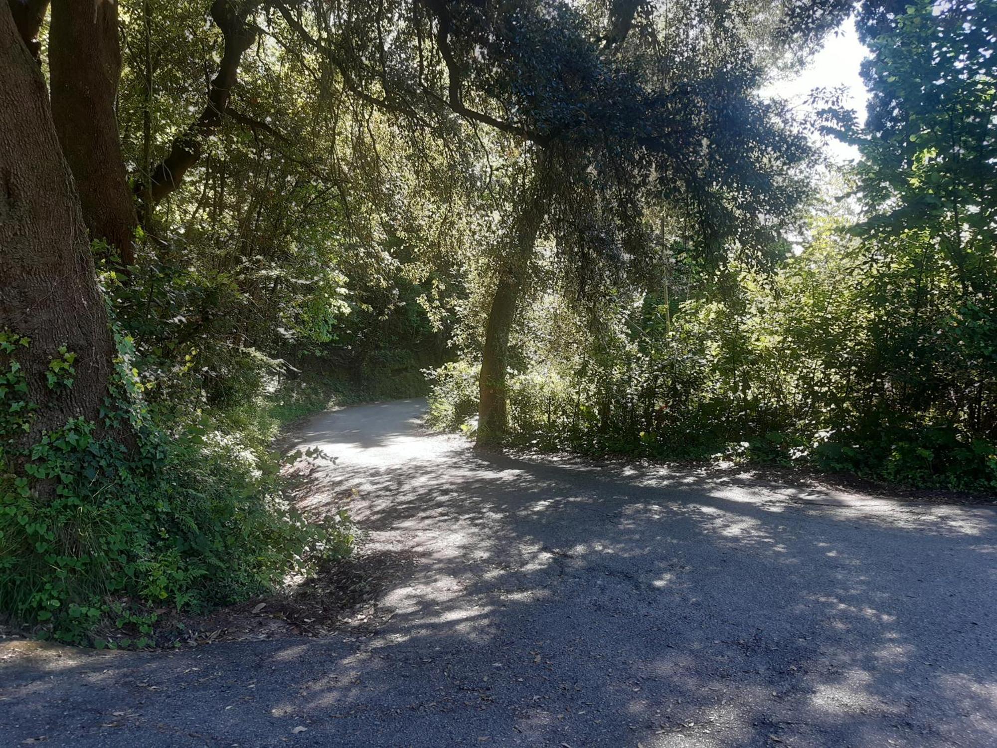 Belvedere 10 Pietrasanta Εξωτερικό φωτογραφία