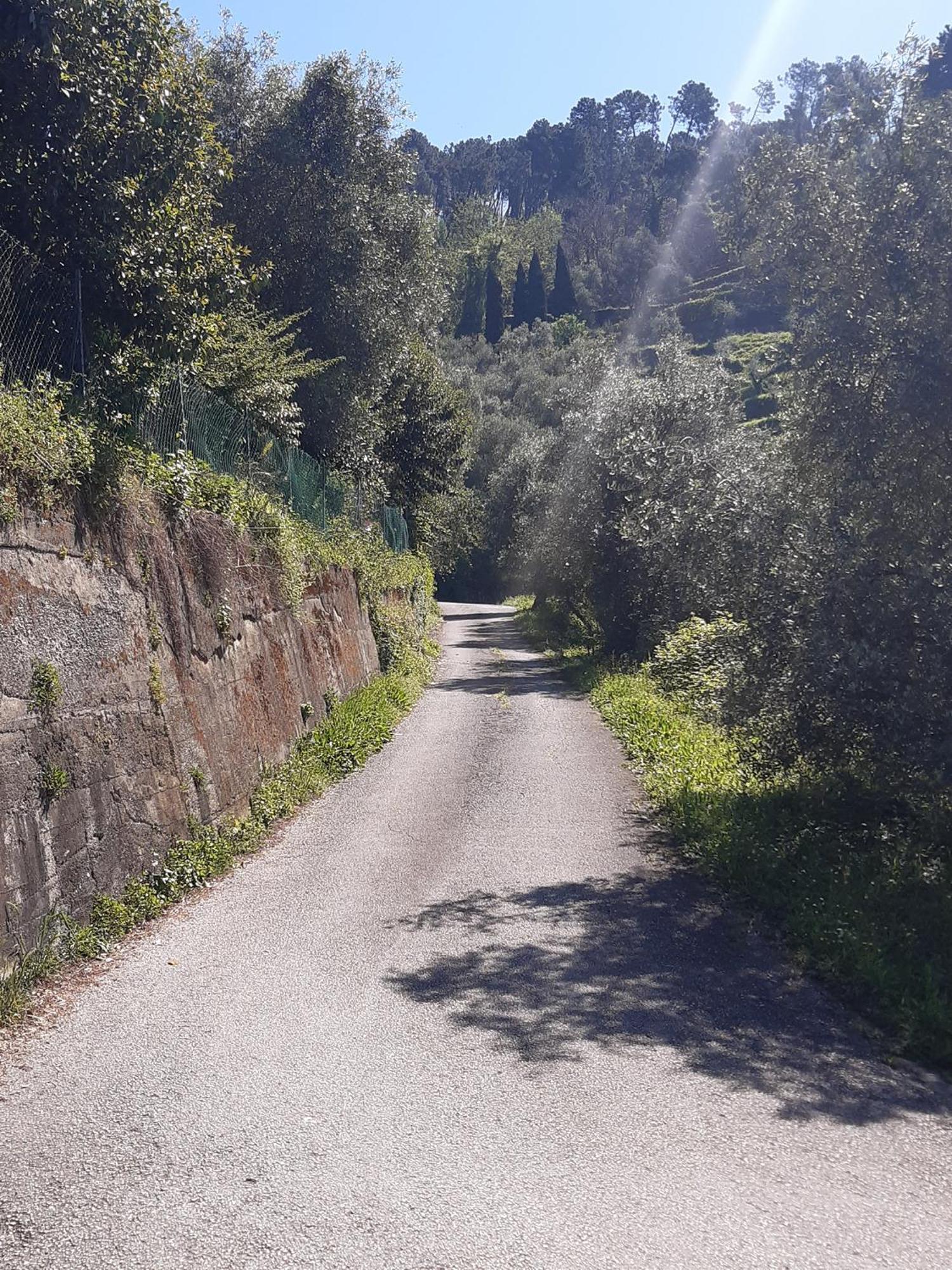 Belvedere 10 Pietrasanta Εξωτερικό φωτογραφία