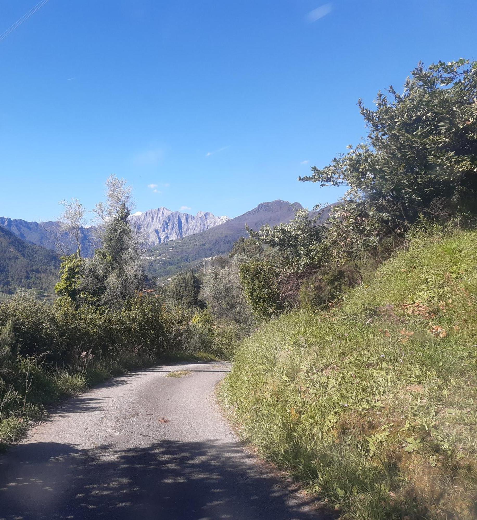 Belvedere 10 Pietrasanta Εξωτερικό φωτογραφία